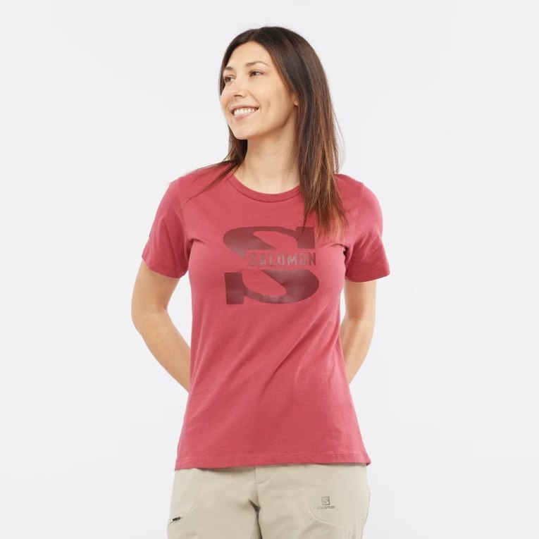 Camiseta Salomon Outlife Big Logo Corta Sleeve Mujer Rojos | MX KEVI921